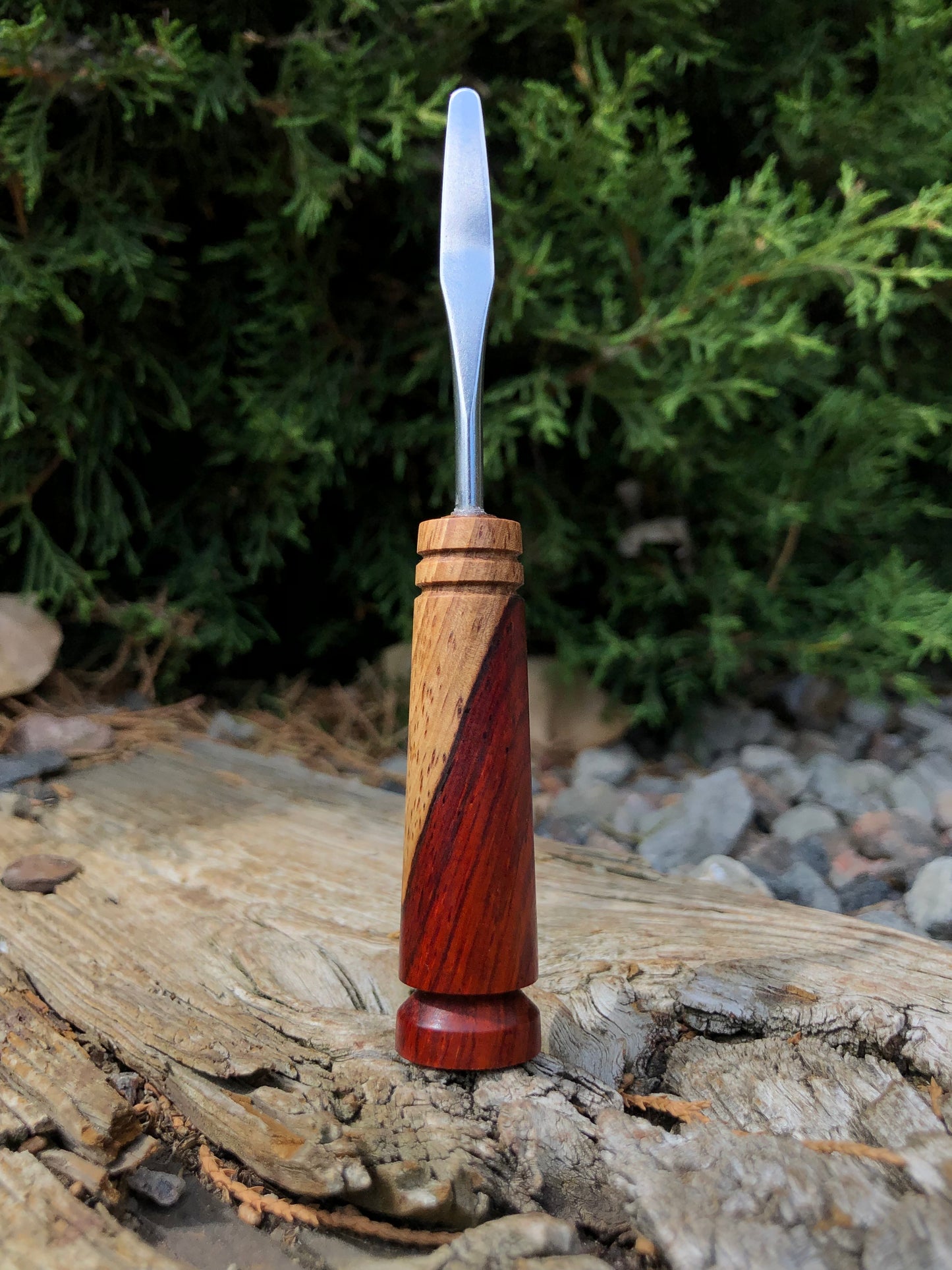 Cocobolo w/ Sapwood Tool