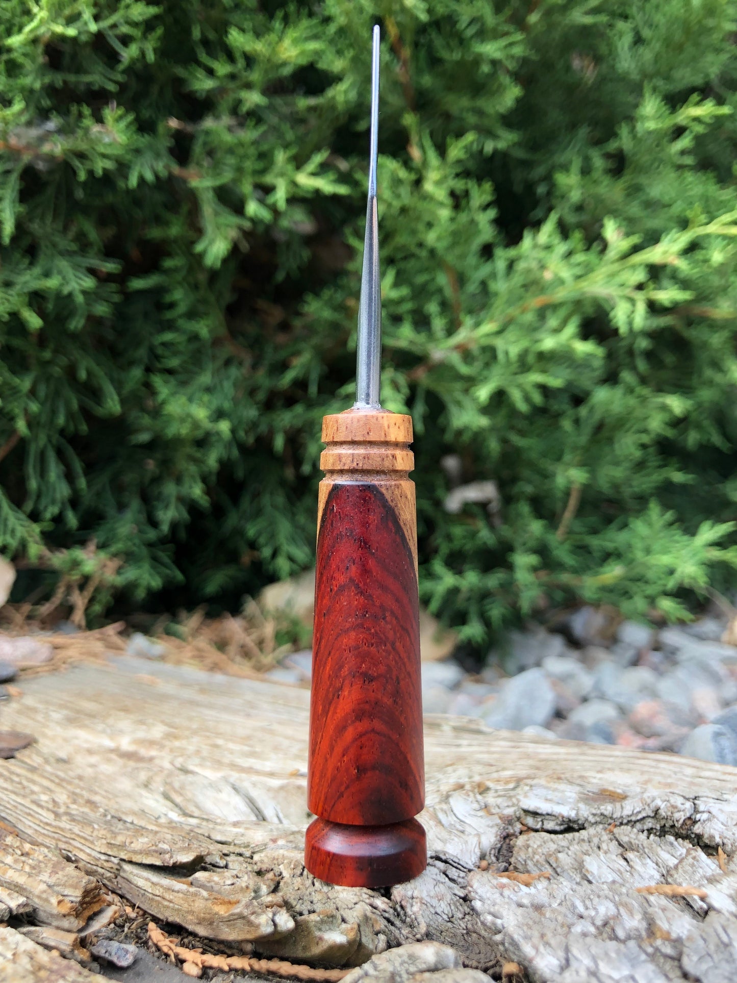 Cocobolo w/ Sapwood Tool