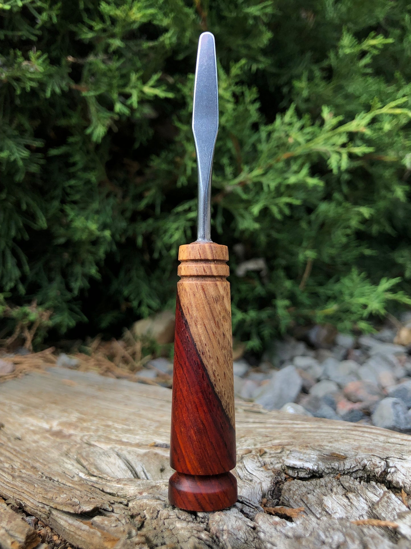 Cocobolo w/ Sapwood Tool